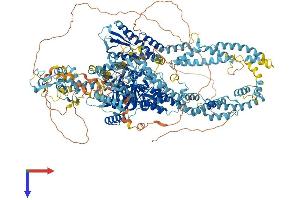 AlphaFold protein structure predicition of Human Recombinant KDM5C Protein, UniprotID P41229