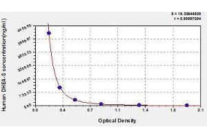Typical standard curve (Dehydroepiandrosterone Sulfate Kit ELISA)