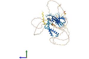 AlphaFold protein structure predicition of Human Recombinant SH2B2 Protein, UniprotID O14492