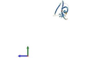 AlphaFold protein structure predicition of Human Recombinant SLMAP Protein, UniprotID Q14BN4
