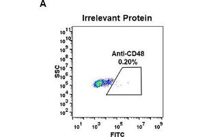 Recombinant CD48 抗体  (AA 27-220)