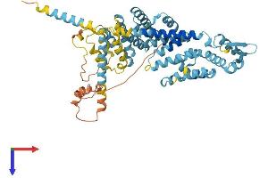 AlphaFold protein structure predicition of Human Recombinant PSMD3 Protein, UniprotID O43242