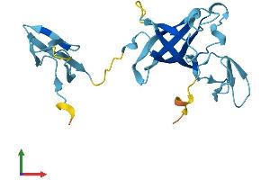 AlphaFold protein structure predicition of Mouse Recombinant Exosc1 Protein, UniprotID Q9DAA6