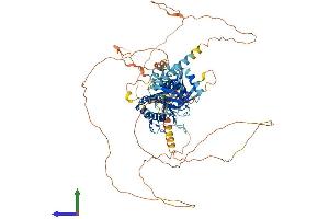 AlphaFold protein structure predicition of Mouse Recombinant Med25 Protein, UniprotID Q8VCB2