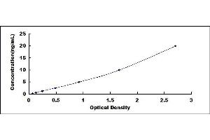Typical standard curve (VDAC1 Kit ELISA)
