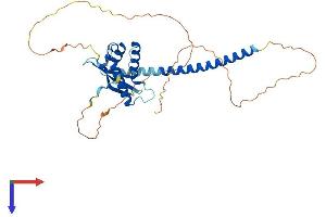 AlphaFold protein structure predicition of Mouse Recombinant Snx16 Protein, UniprotID Q8C080