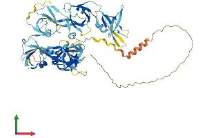 AlphaFold protein structure predicition of Mouse Recombinant Themis Protein, UniprotID Q8BGW0
