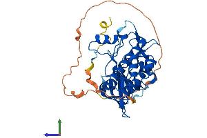 AlphaFold protein structure predicition of Mouse Recombinant Trib2 Protein, UniprotID Q8K4K3
