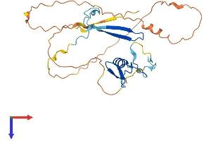AlphaFold protein structure predicition of Human Recombinant ZGLP1 Protein, UniprotID P0C6A0
