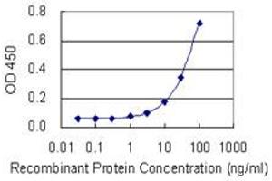 Detection limit for recombinant GST tagged EIF2C2 is 1 ng/ml as a capture antibody. (AGO2 anticorps  (AA 1-377))