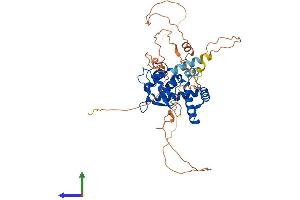 AlphaFold protein structure predicition of Mouse Recombinant Nfic Protein, UniprotID P70255