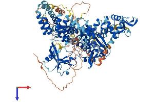 AlphaFold protein structure predicition of Human Recombinant RAPGEF3 Protein, UniprotID O95398
