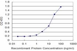 Detection limit for recombinant GST tagged DCK is approximately 1ng/ml as a capture antibody. (DCK anticorps  (AA 161-260))