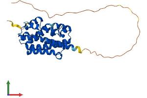 AlphaFold protein structure predicition of Human Recombinant HMOX1 Protein, UniprotID P09601