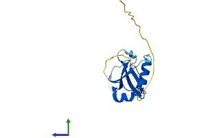 AlphaFold protein structure predicition of Mouse Recombinant Atg12 Protein, UniprotID Q9CQY1