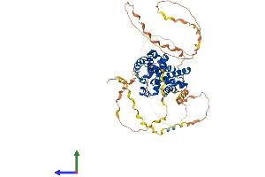 AlphaFold protein structure predicition of Human Recombinant CCNK Protein, UniprotID O75909