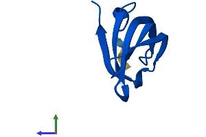 AlphaFold protein structure predicition of Mouse Recombinant Snrpg Protein, UniprotID P62309