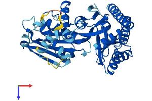AlphaFold protein structure predicition of Mouse Recombinant Mvk Protein, UniprotID Q9R008
