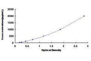 Typical standard curve