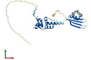 AlphaFold protein structure predicition of Human Recombinant KCTD15 Protein, UniprotID Q96SI1