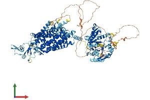 AlphaFold protein structure predicition of Mouse Recombinant Slc12a5 Protein, UniprotID Q91V14