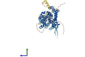 AlphaFold protein structure predicition of Mouse Recombinant Slc1a4 Protein, UniprotID O35874