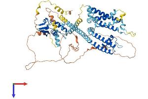AlphaFold protein structure predicition of Mouse Recombinant Kcnd1 Protein, UniprotID Q03719