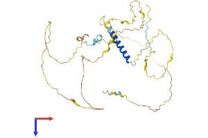 AlphaFold protein structure predicition of Human Recombinant PSRC1 Protein, UniprotID Q6PGN9