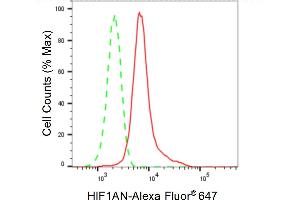 Flow cytometric analysis of HIF1AN expression in HeLa cells using HIF1AN antibody (ABIN7799018), 1:2,000).