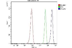 Flow Cytometry analysis of Hela cells using anti-hnRNP E2/PCBP2 antibody (ABIN7599983).