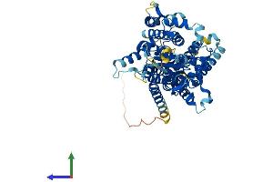 AlphaFold protein structure predicition of Human Recombinant PIGZ Protein, UniprotID Q86VD9