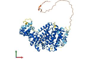 AlphaFold protein structure predicition of Mouse Recombinant Aste1 Protein, UniprotID Q8BIR2