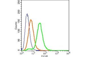 293T cells probed with MC-1R/MC1 Receptor Polyclonal Antibody, ALEXA FLUOR® 488 Conjugated (bs-1419R-A488) at 1:100 for 30 minutes compared to control cells (blue) and isotype control (orange).
