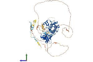AlphaFold protein structure predicition of Mouse Recombinant Pak6 Protein, UniprotID Q3ULB5