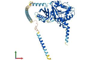 AlphaFold protein structure predicition of Human Recombinant CSGALNACT1 Protein, UniprotID Q8TDX6