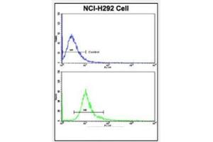 Flow Cytometric analysis of NCI-H292 cells using DCXR Antibody (Center) Cat. (DCXR anticorps  (Middle Region))