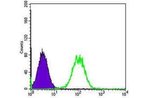 Flow cytometric analysis of Hela cells using MAP3K5 mouse mAb (green) and negative control (purple).