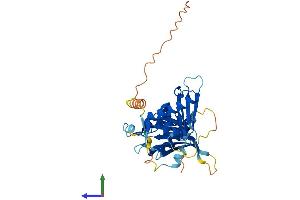 AlphaFold protein structure predicition of Mouse Recombinant Cenpl Protein, UniprotID Q3U3S3