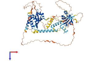 AlphaFold protein structure predicition of Mouse Recombinant Bmal2 Protein, UniprotID Q2VPD4