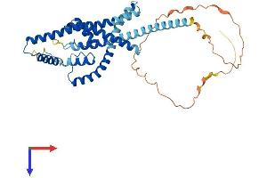 AlphaFold protein structure predicition of Mouse Recombinant Kcnk4 Protein, UniprotID O88454