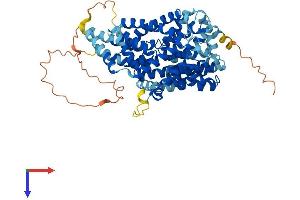 AlphaFold protein structure predicition of Human Recombinant SLC13A3 Protein, UniprotID Q8WWT9