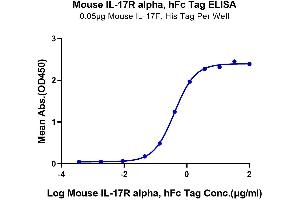 ELISA image for Interleukin 17 Receptor A (IL17RA) (AA 32-322) protein (Fc Tag) (ABIN7274244)