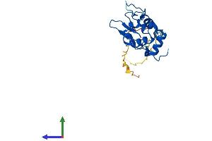 AlphaFold protein structure predicition of Human Recombinant SPACA3 Protein, UniprotID Q8IXA5