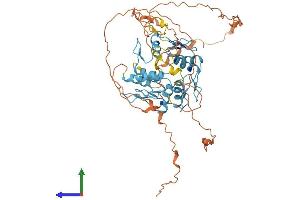 AlphaFold protein structure predicition of Human Recombinant ZNF513 Protein, UniprotID Q8N8E2