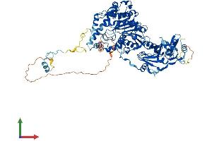 AlphaFold protein structure predicition of Mouse Recombinant Cmtr1 Protein, UniprotID Q9DBC3