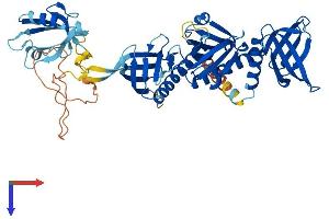 AlphaFold protein structure predicition of Mouse Recombinant Sntg1 Protein, UniprotID Q925E1