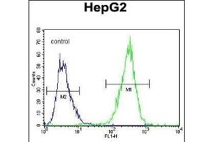 ARD Antibody (C-term) (ABIN655880 and ABIN2845281) flow cytometric analysis of HepG2 cells (right histogram) compared to a negative control cell (left histogram).