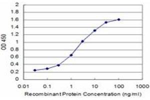 Detection limit for recombinant GST tagged MAGEA9 is approximately 0.