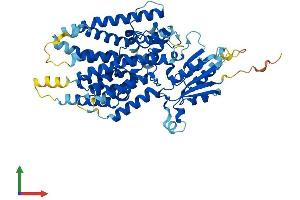 AlphaFold protein structure predicition of Mouse Recombinant Pigz Protein, UniprotID Q8BTP0