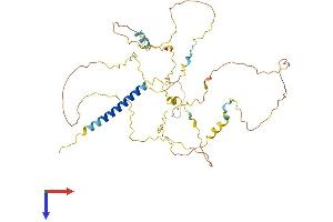 AlphaFold protein structure predicition of Mouse Recombinant Pag1 Protein, UniprotID Q3U1F9